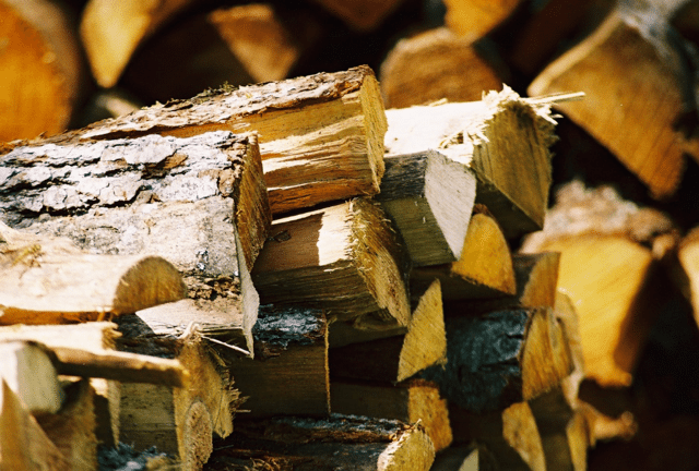 How Long Should You Dry Firewood?