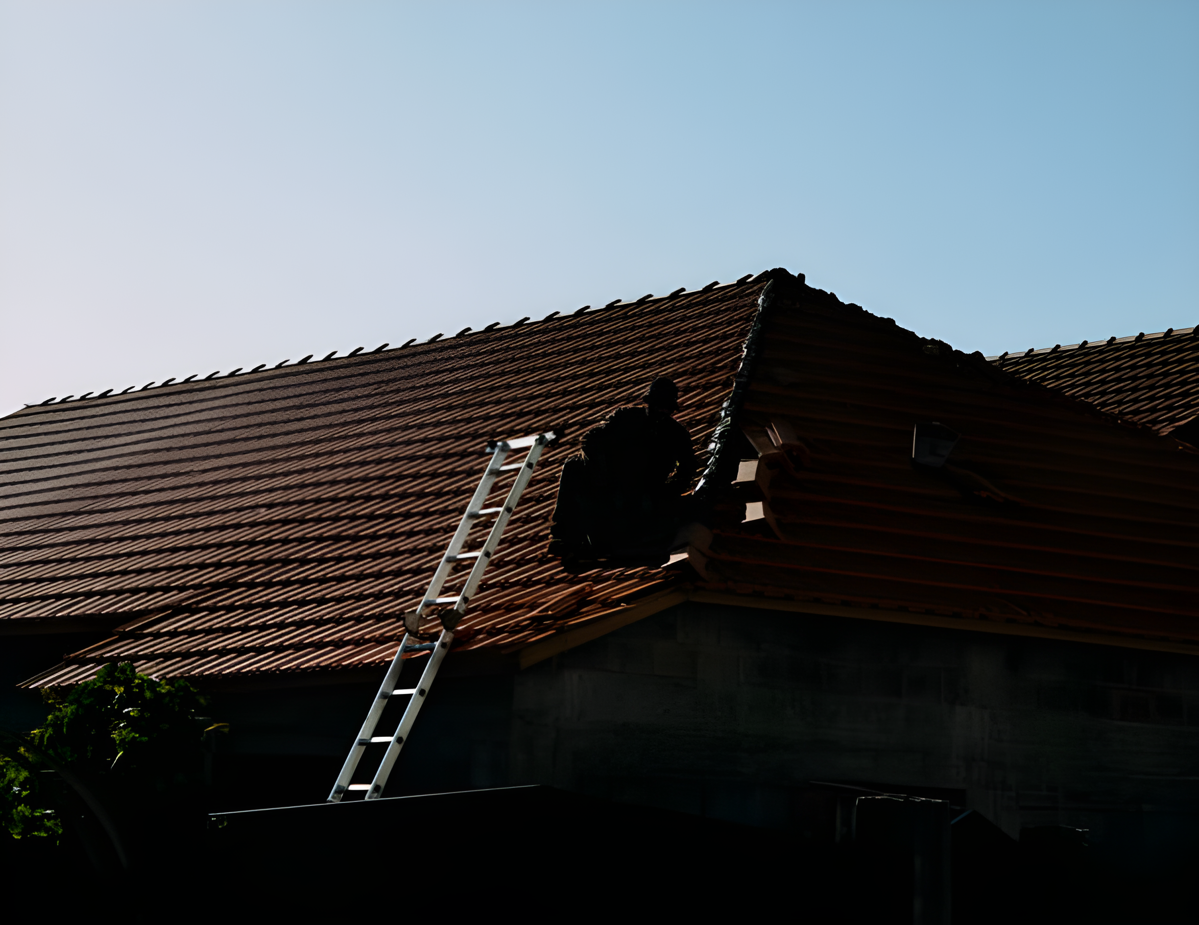 Chimney Technician
